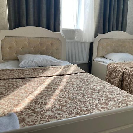 Hotel Borovik à Novosilki Extérieur photo