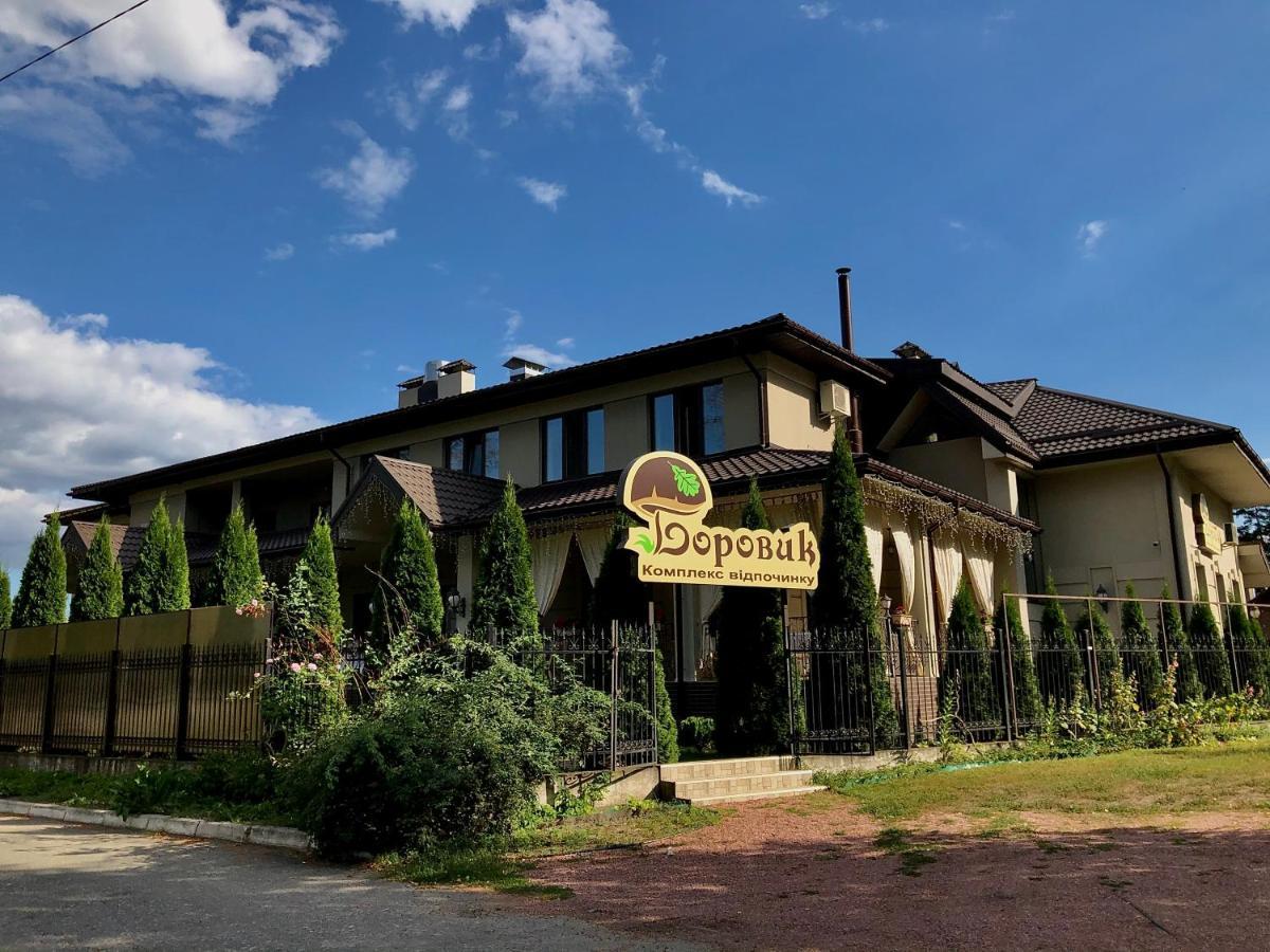 Hotel Borovik à Novosilki Extérieur photo