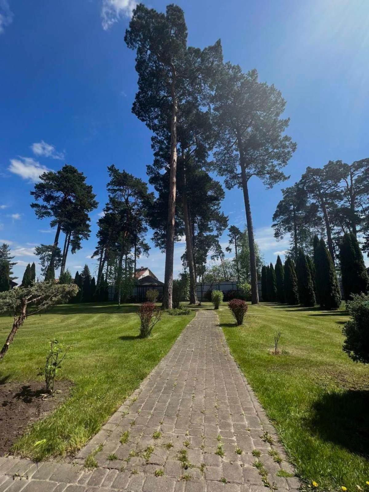 Hotel Borovik à Novosilki Extérieur photo