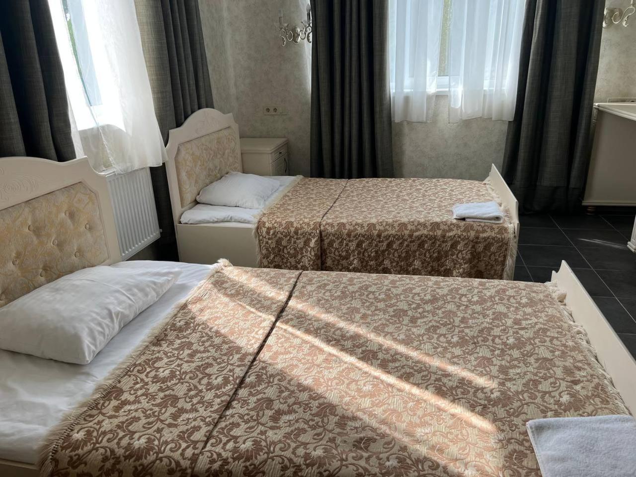 Hotel Borovik à Novosilki Extérieur photo